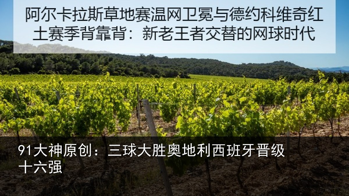 91大神原创:三球大胜奥地利西班牙晋级十六强