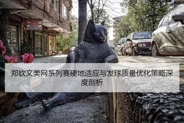 zheng-qin-wen-mei-wang-xi-lie-sai-ying-di-shi-ying-yu-fa-qiu-zhi-liang-you-hua-ce-lve-shen-du-pou-xi-2-311.jpg