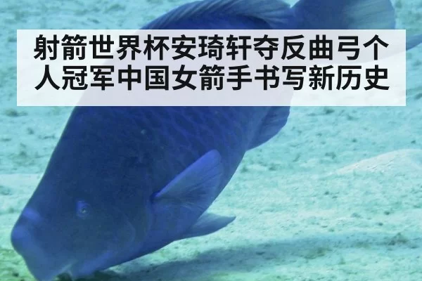 射箭世界杯安琦轩夺反曲弓个人冠军中国女箭手书写新历史